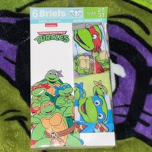 Nickelodeon TMNT Boys' Briefs - 2T/3T